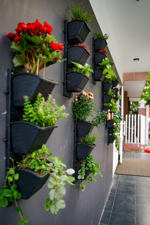 דה נאנג Local White House - Ecofriendly Homestay מראה חיצוני תמונה